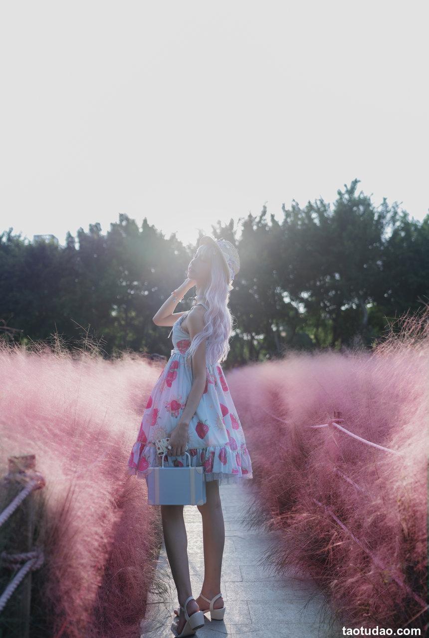 西瓜少女 NO.006   粉草 [15P-108MB]