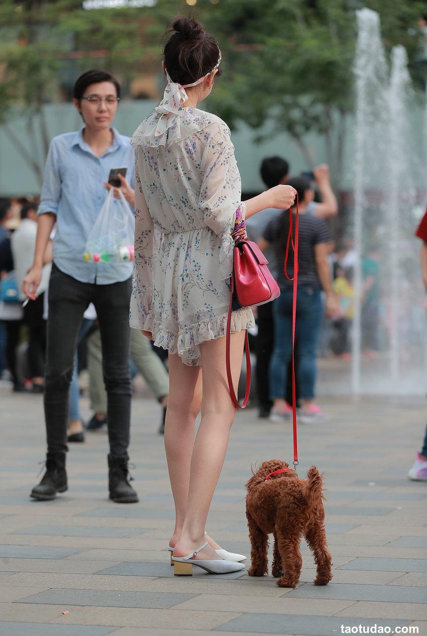都市丽人遛狗的漂亮小姐姐【22P-237MB】