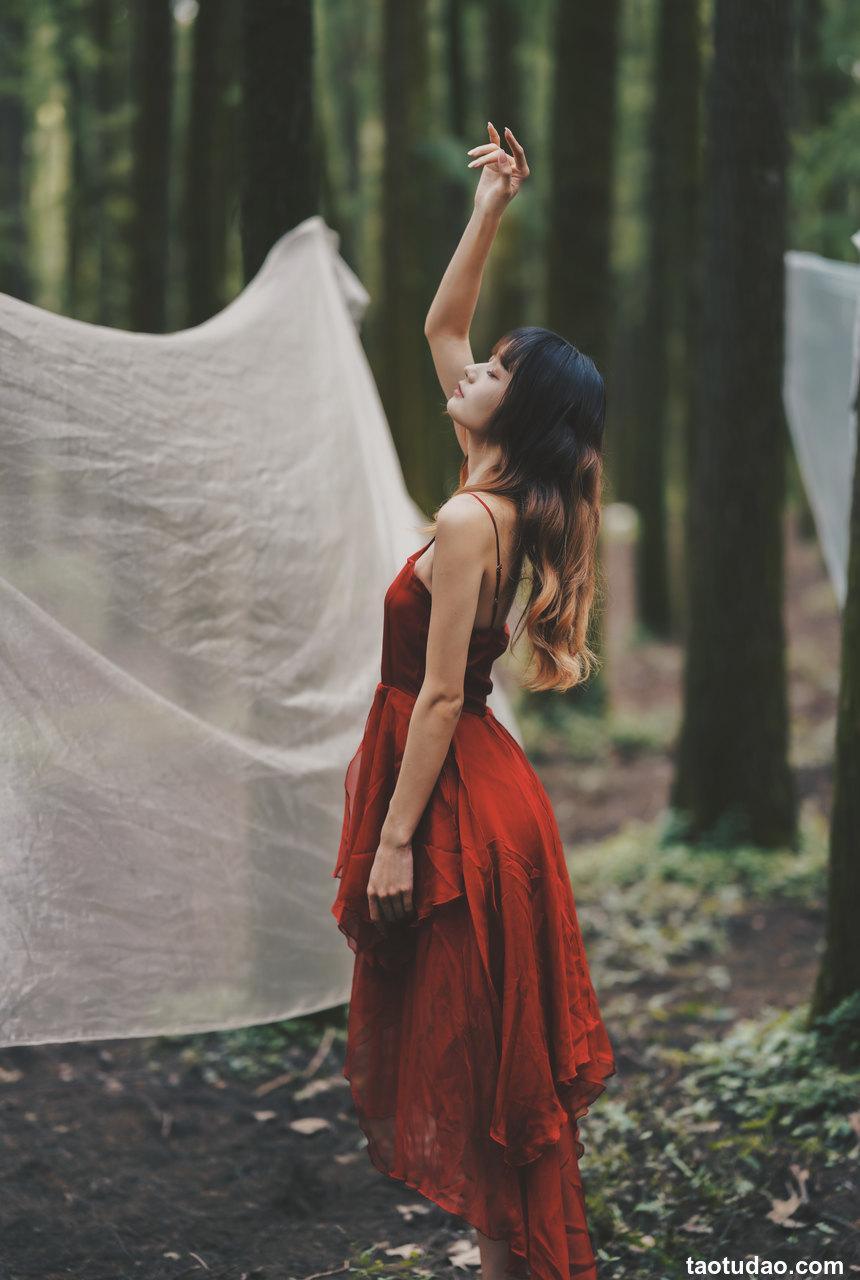 兔子Zzz不吃胡萝卜 - NO.37 闯入迷雾森林 [25P-106MB]