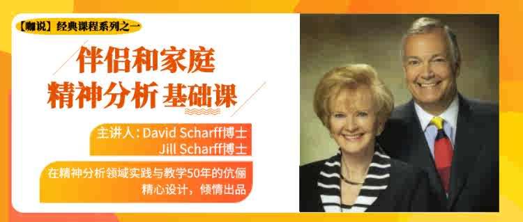 咖说经典课 伴侣和家庭精神分析基础课程