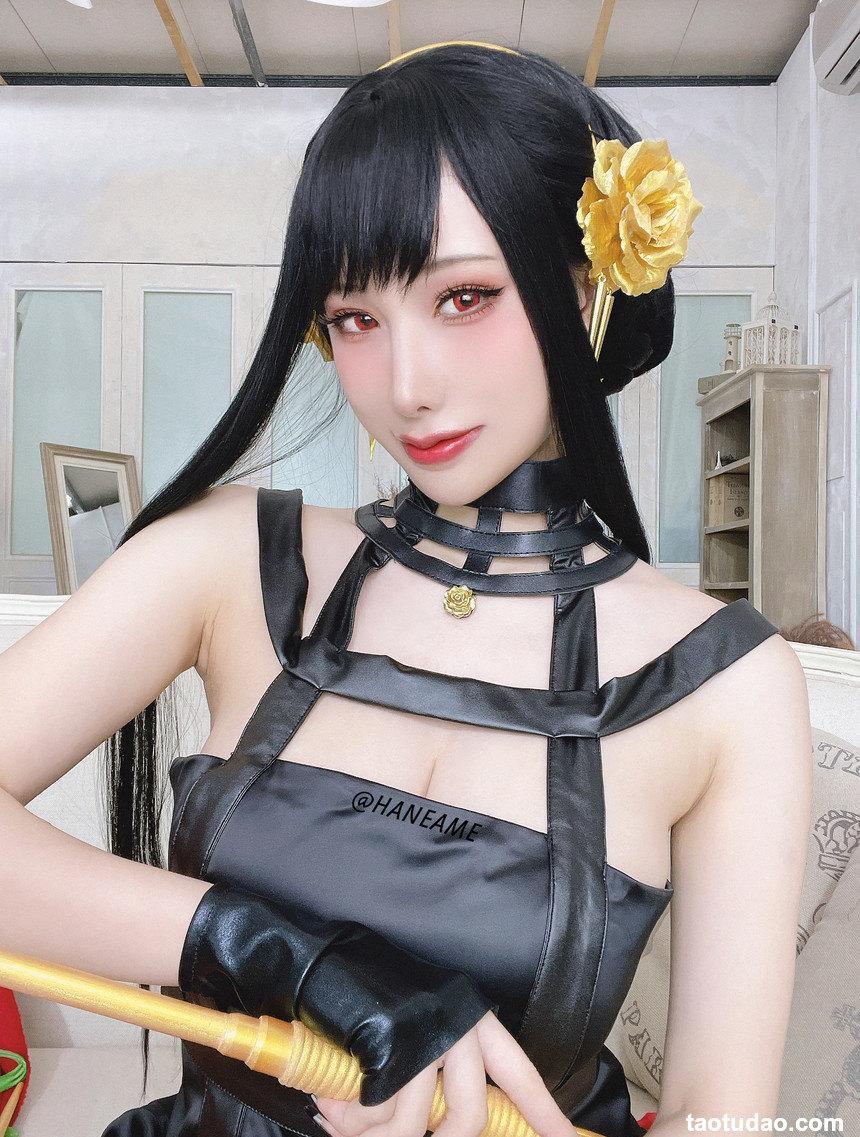 雨波_HaneAme - NO.145 間諜家族 Spy x Family Yor Forger [29P-123MB]