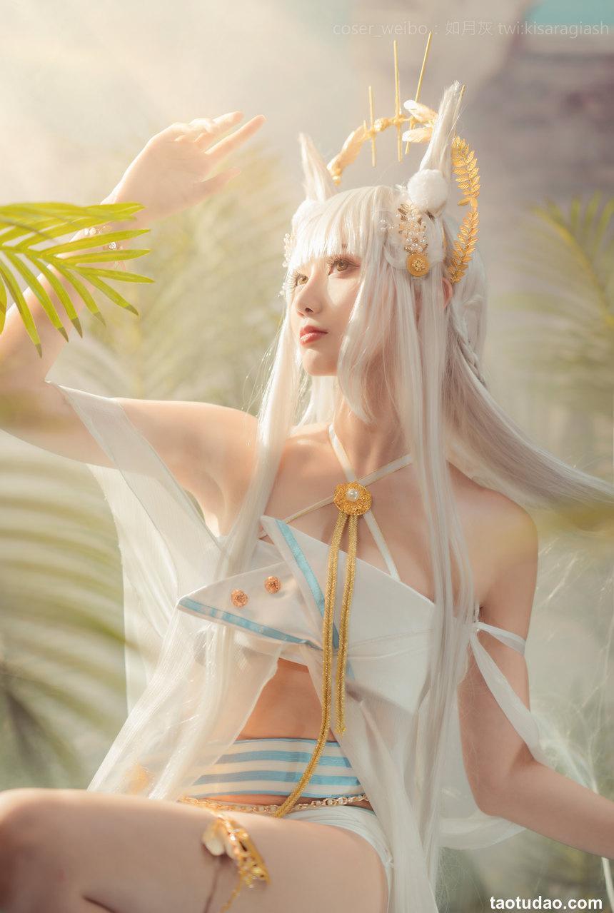 如月灰 - NO.21 Platinum ARK [17P-72MB]