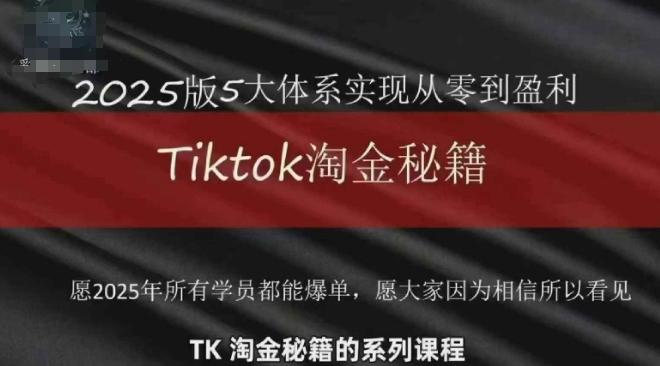 TikTok跨境2025淘金秘籍TikTok从0到盈利变现