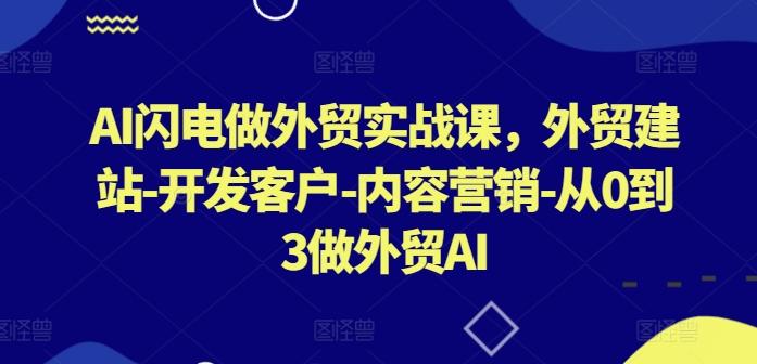 AI闪电做外贸实战课外贸建站开发客户内容营销