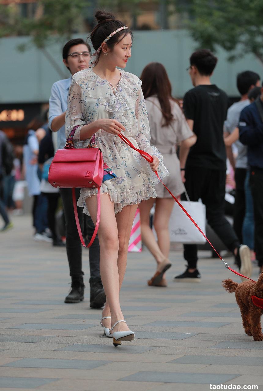 都市丽人遛狗的漂亮小姐姐【22P-237MB】