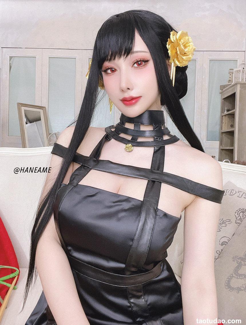 雨波_HaneAme - NO.145 間諜家族 Spy x Family Yor Forger [29P-123MB]