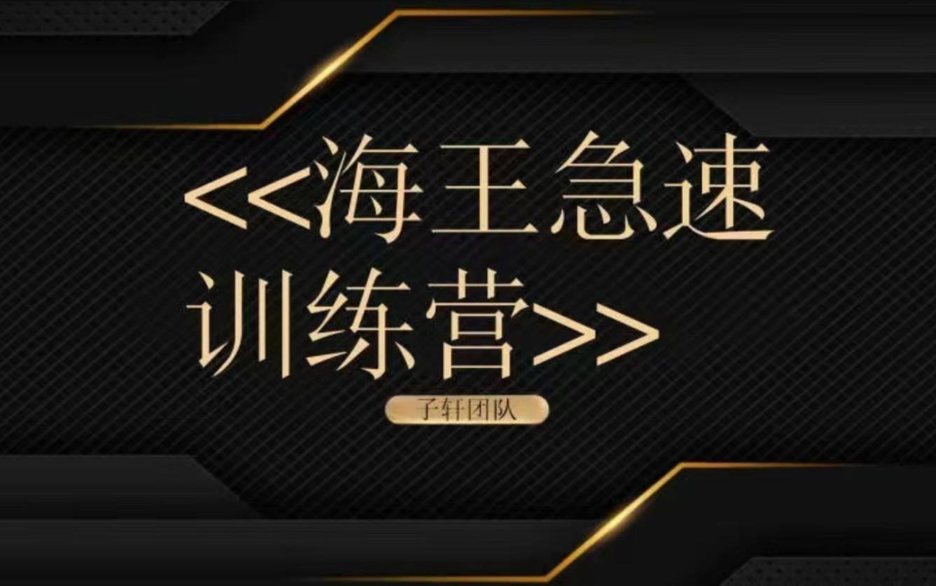 子轩团队《海王急速训练营》两性情感课