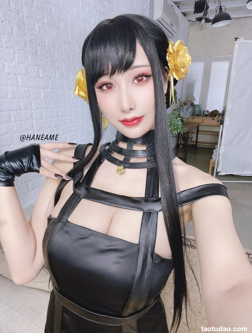 雨波_HaneAme - NO.145 間諜家族 Spy x Family Yor Forger [29P-123MB]