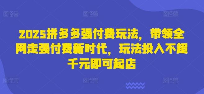 2025拼多多强付费玩法带领全网走新时代起店