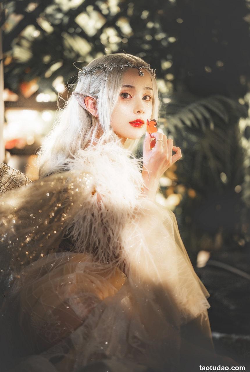 AAAyu阿玉 - NO.02 林中精灵 [33P-816MB]