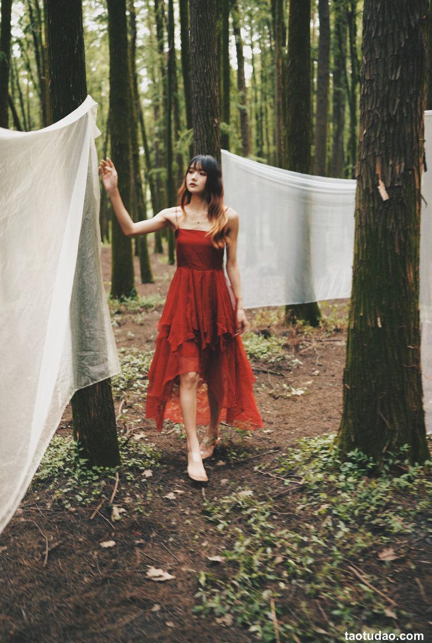 兔子Zzz不吃胡萝卜 - NO.37 闯入迷雾森林 [25P-106MB]