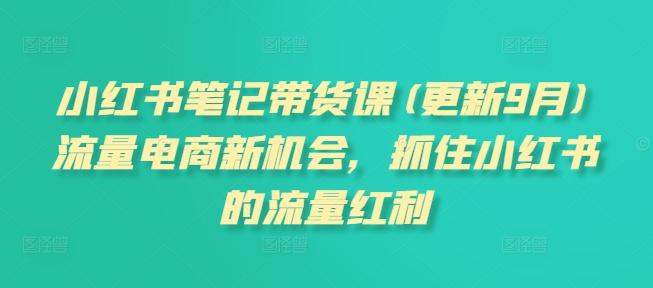 张宾小红书笔记带货课(更新25年3月)流量电商新机会