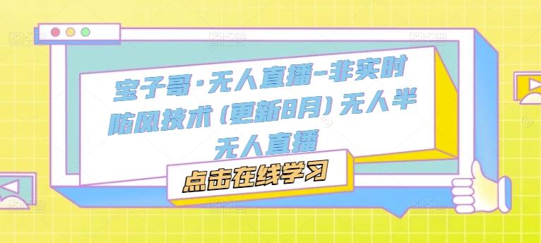 宝子哥无人直播-非实时防风技术无人半无人直播