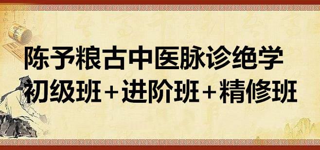 陈予粮古中医脉诊绝学初级班+进阶班+精修班 60G