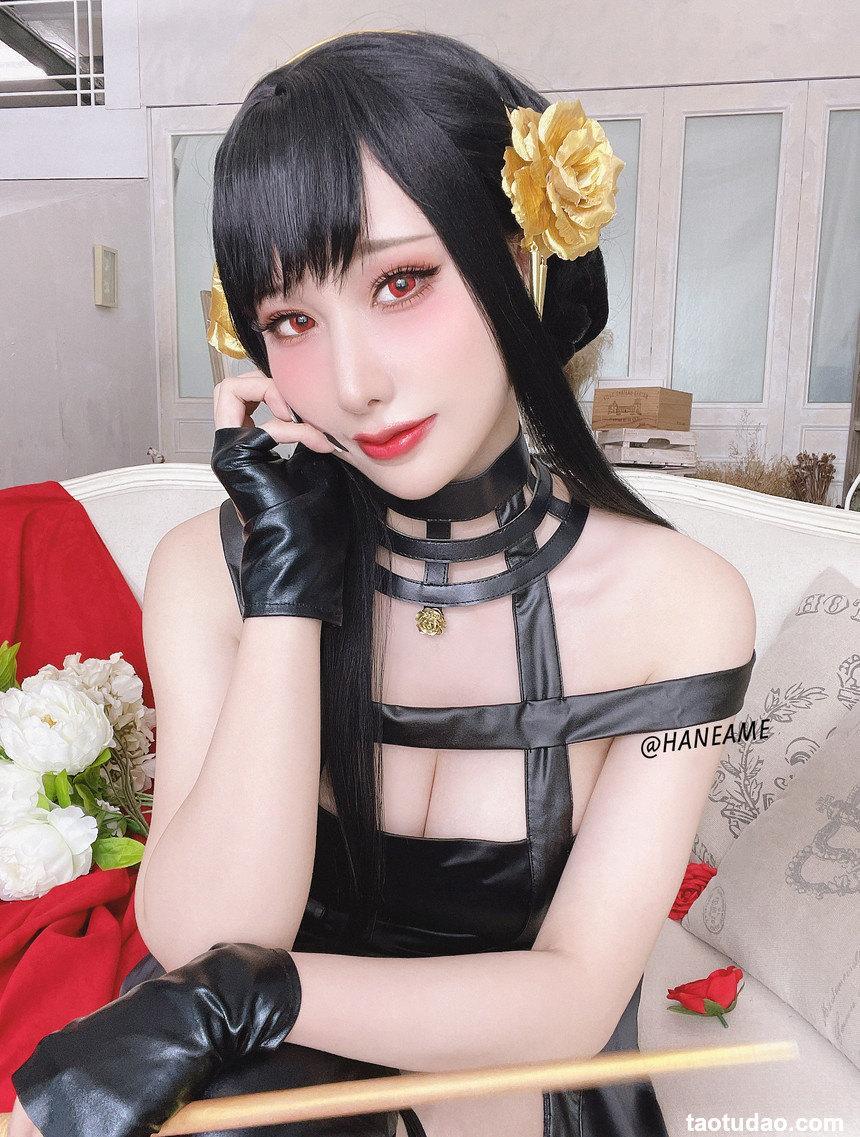 雨波_HaneAme - NO.145 間諜家族 Spy x Family Yor Forger [29P-123MB]