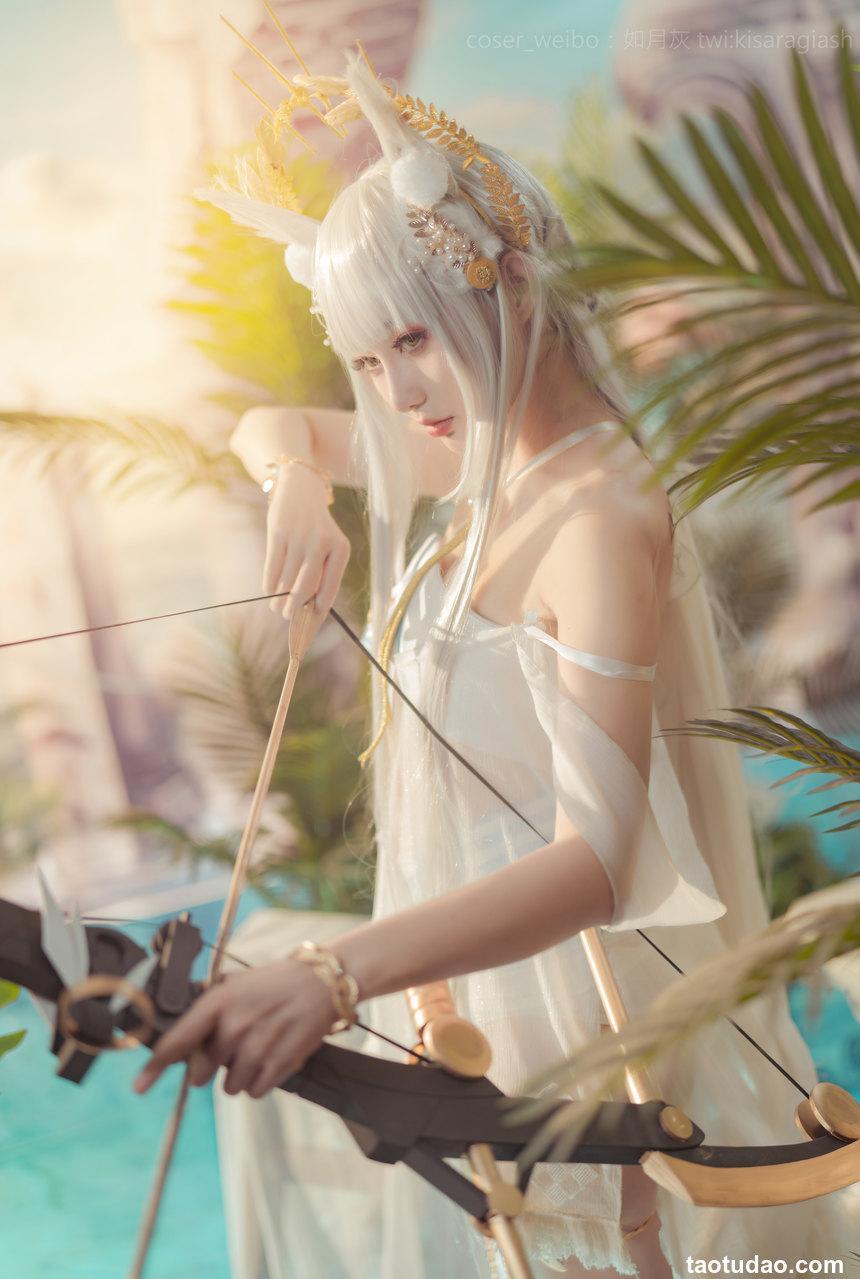 如月灰 - NO.21 Platinum ARK [17P-72MB]