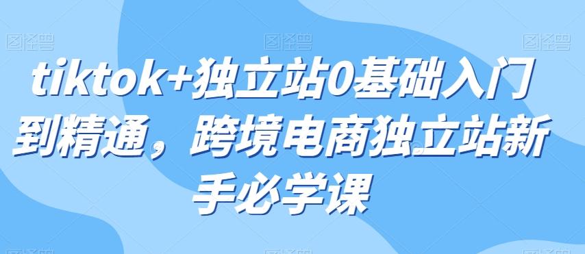 tiktok+独立站0基础入门到精通跨境电商