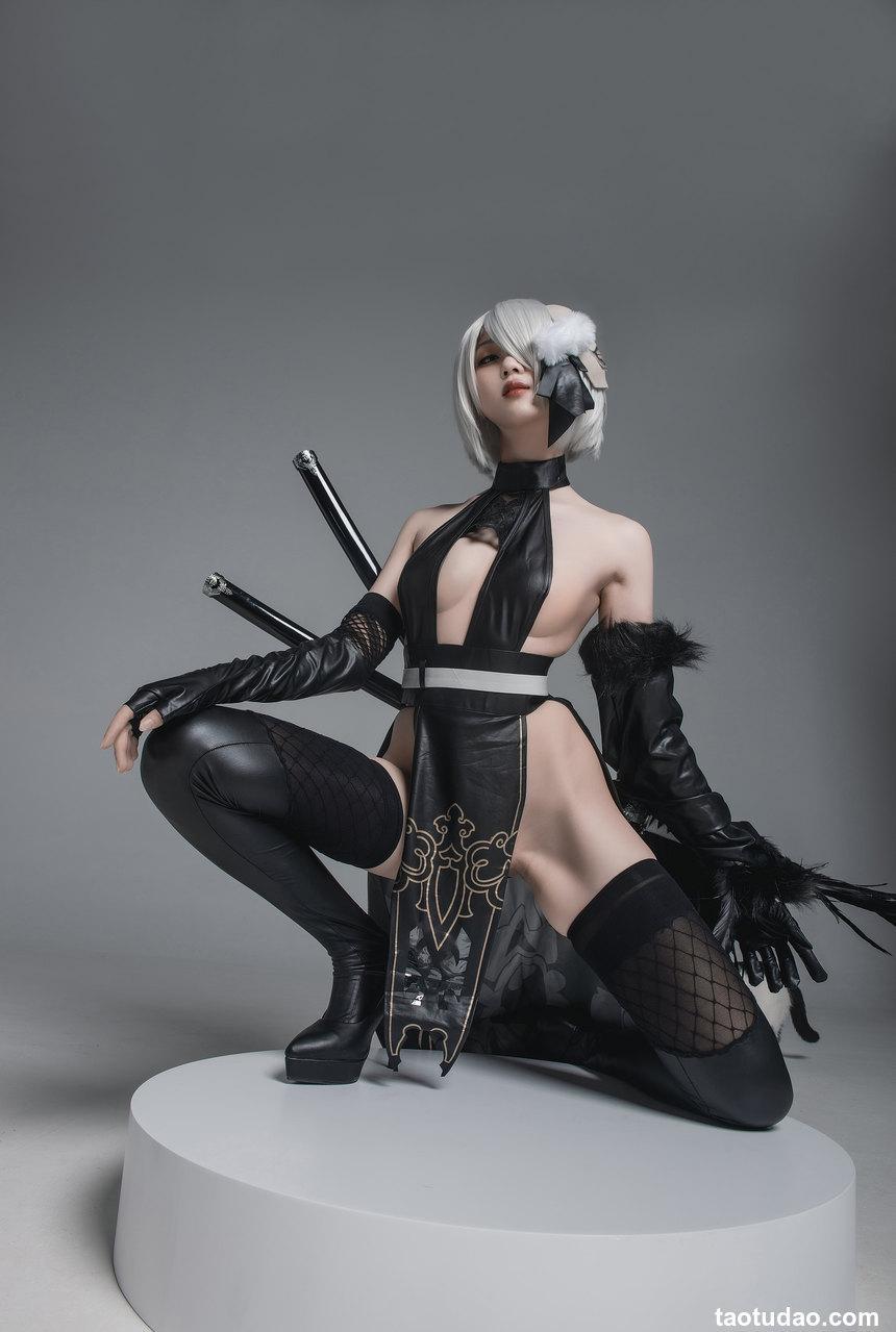 瓦斯塔亚小龙虾 - NO.13 2号B型 忍者 [42P-693MB]