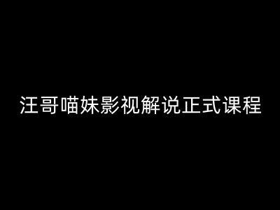 汪哥影视解说正式课：剪映/PR教学/视解说等