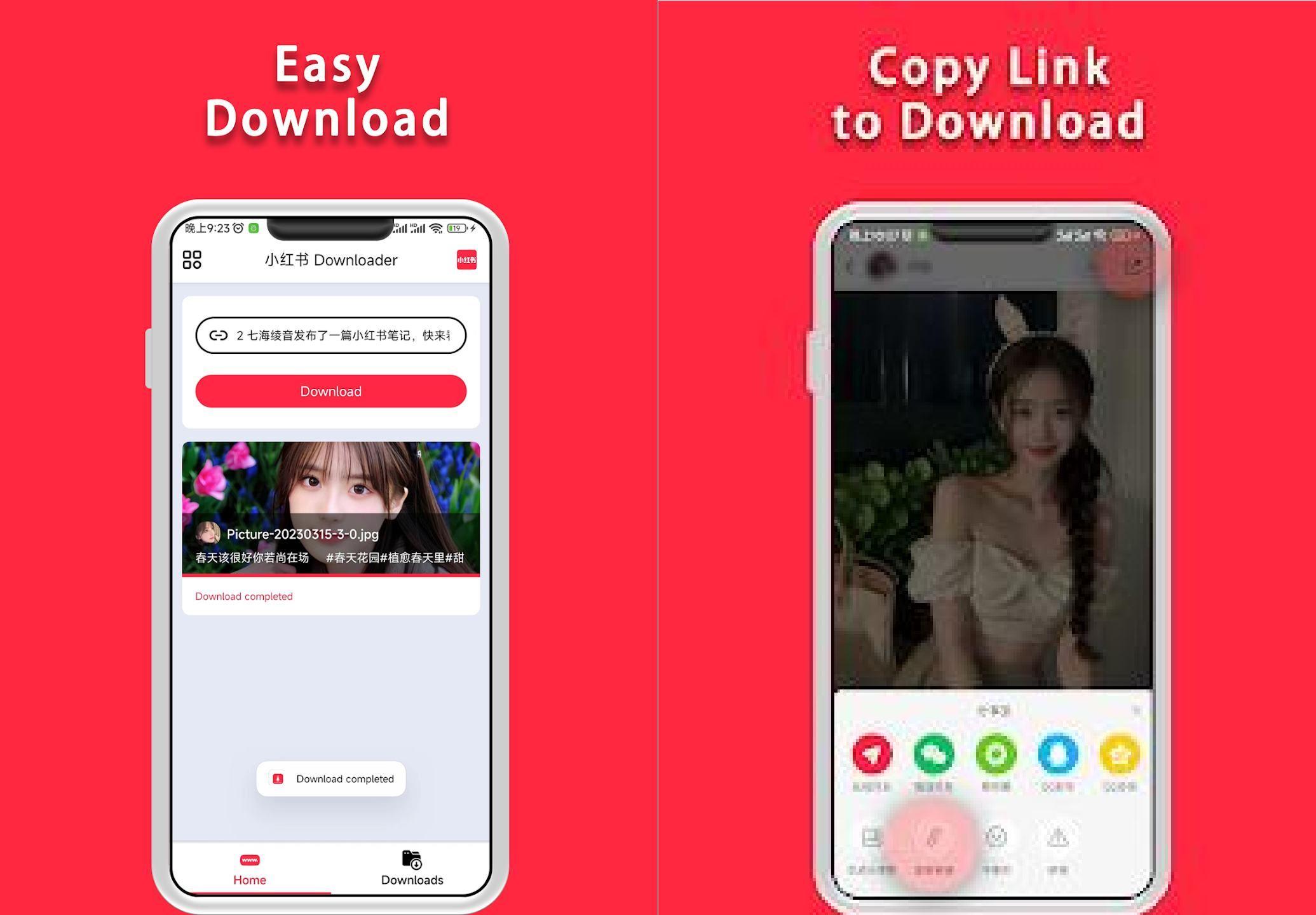 小红书下载器Downloader v1.1.5高级版 小红书下载器Downloader v1.1.5高级版