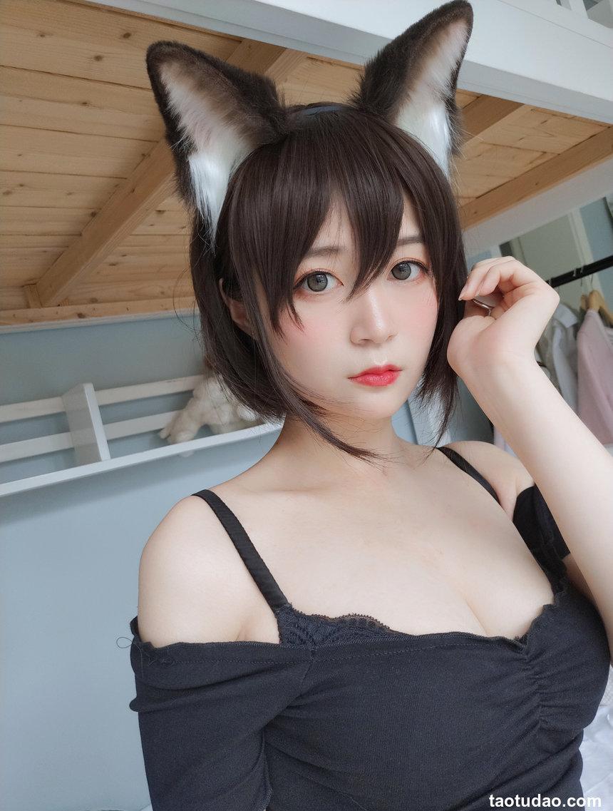 白银81布偶猫&电子猫[96P+11V706MB]