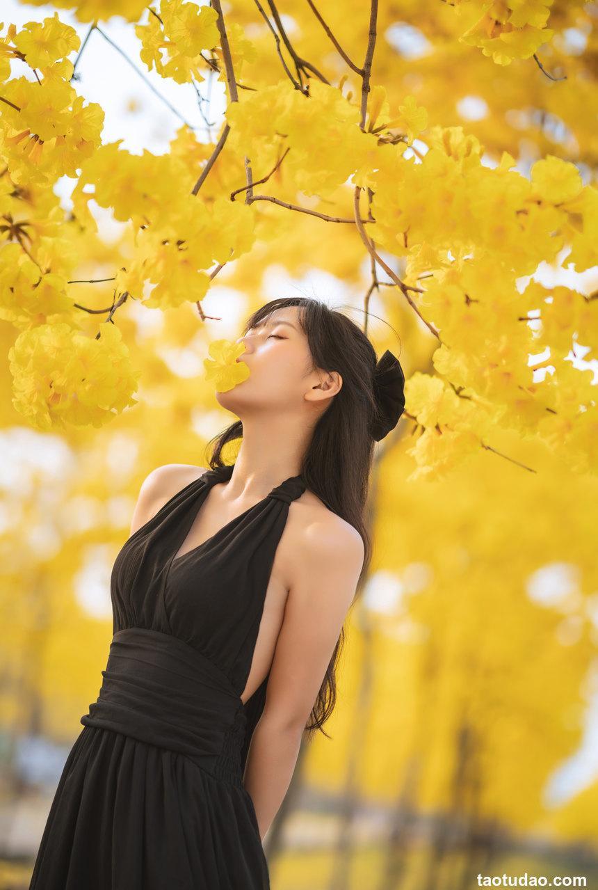 萌芽儿 - NO.25 秋有银杏 春有黄风铃 [24P-336MB]