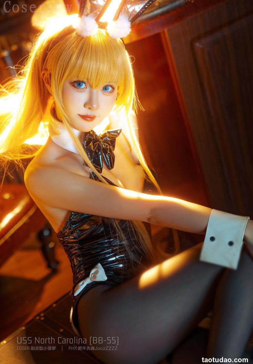 阳炎型小菠萝 - NO.04 北卡罗来纳 [18P-148MB]