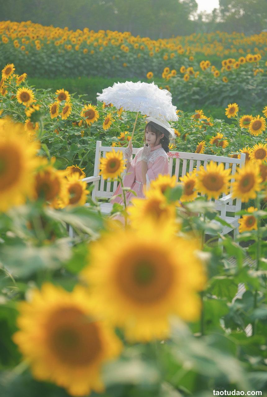 兔子Zzz不吃胡萝卜 - NO.123 向日葵的回忆 [22P-288MB]