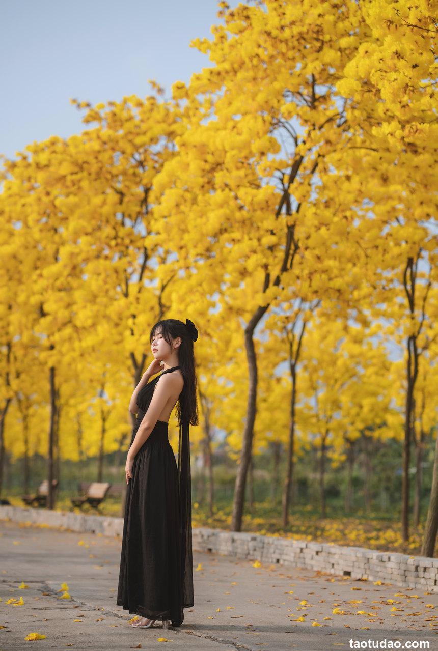 萌芽儿 - NO.25 秋有银杏 春有黄风铃 [24P-336MB]