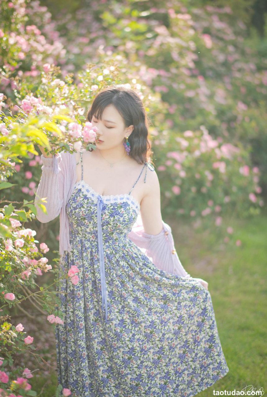 皮皮奶可可爱了啦 –  蔷薇花[37P-787.6M]