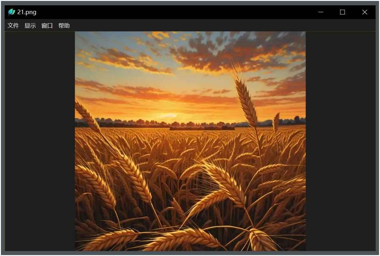 LeafView(图片查看器)轻量级v3.9.4绿色版