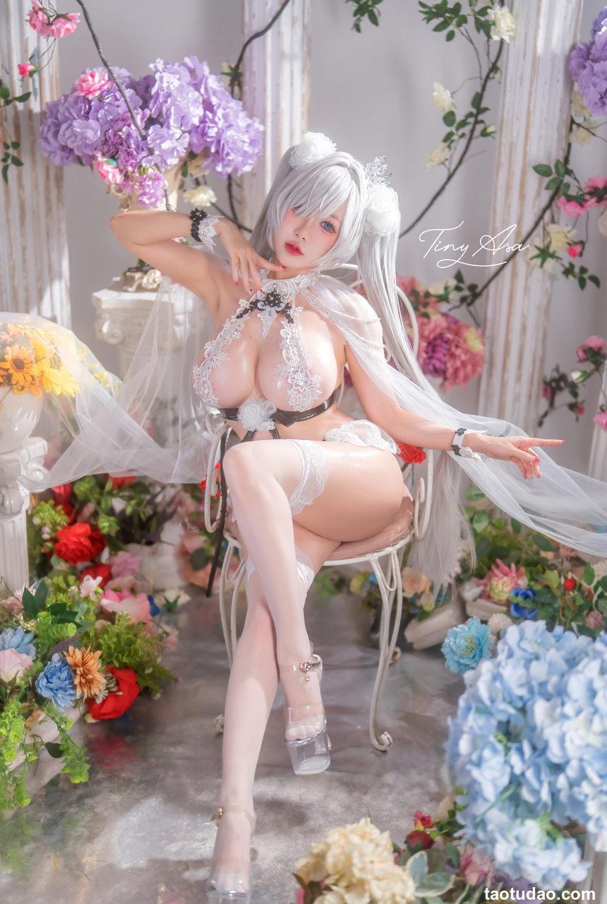 Tiny Asa – NO.023 Nikke Cinderella [59P1V-2.91GB]